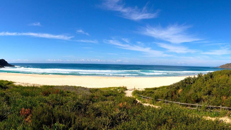 Escape the city and experience a day of surfing lessons with the awesome team at Waves Surf School! We take you to a PRIVATE ACCESS BEACH away from the crowds.